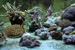 Killikus&reg; Fotographie